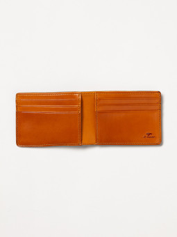 Brun/camel