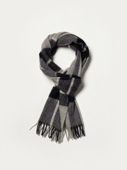 51048_tartangris