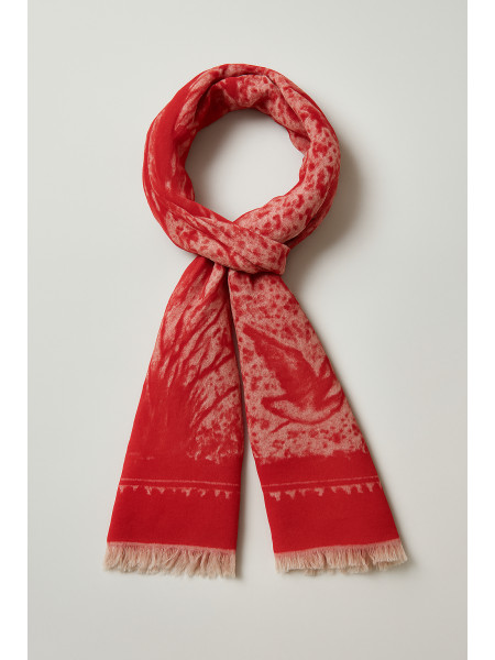 Geranium_rouge