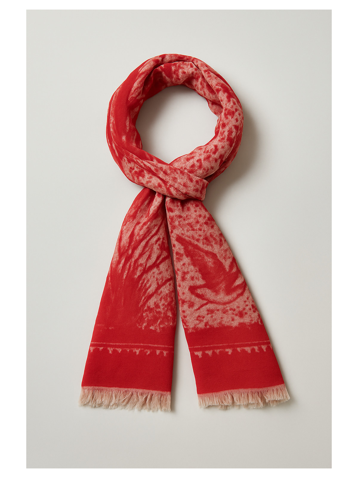 Geranium_rouge