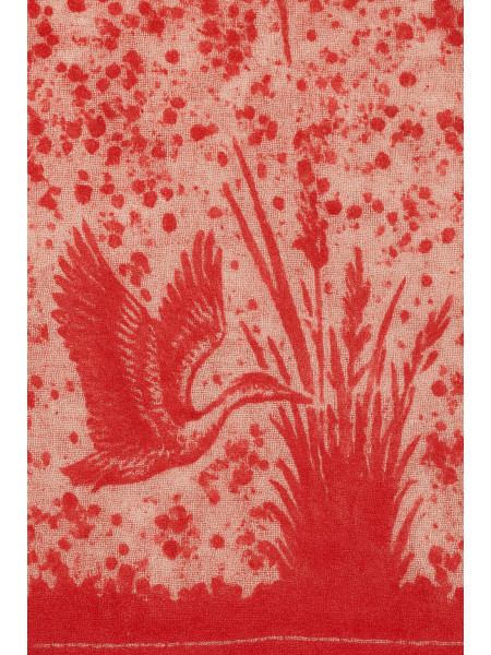 Geranium_rouge