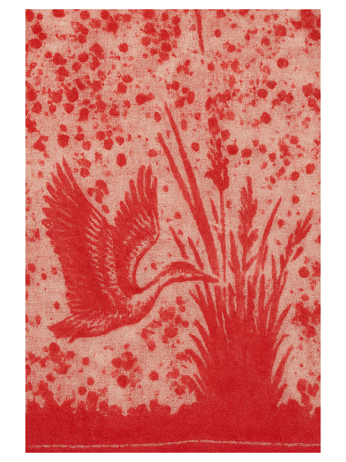 Geranium_rouge