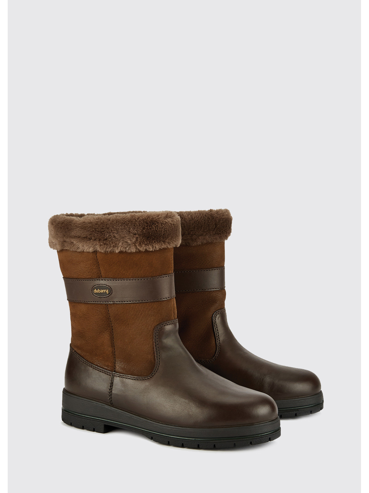 52walnut_marron