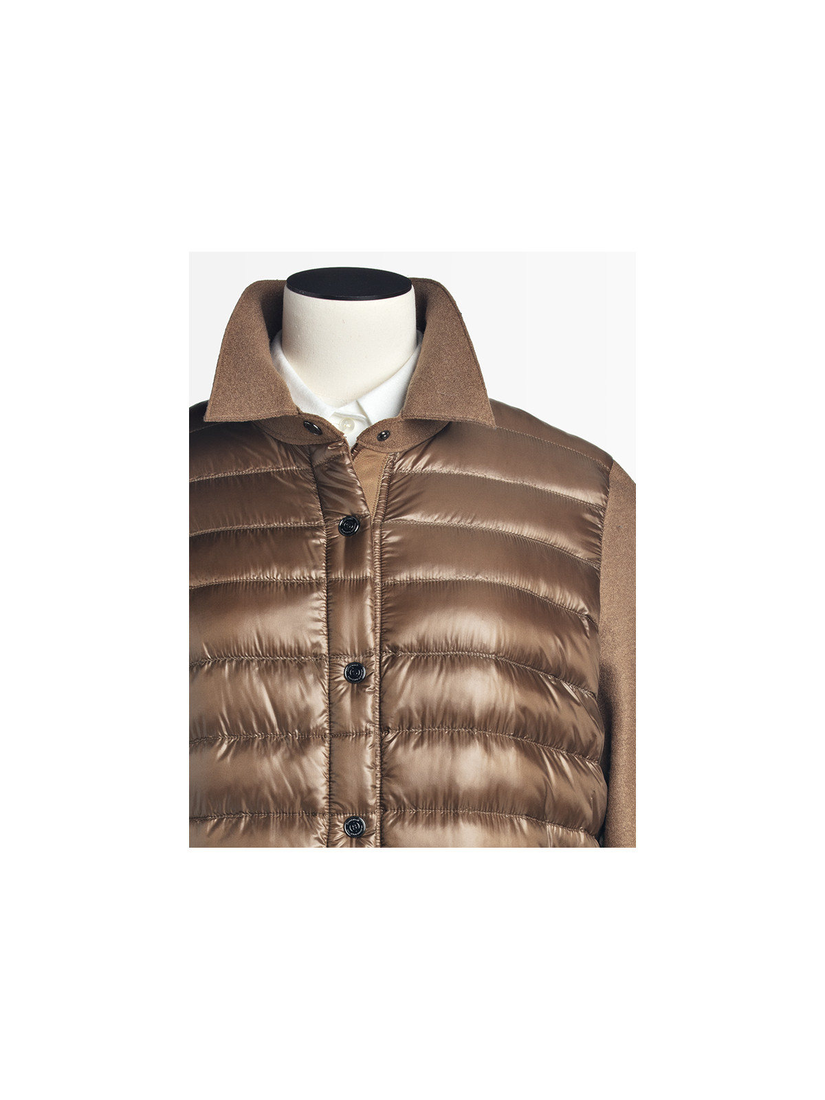 1636_camel