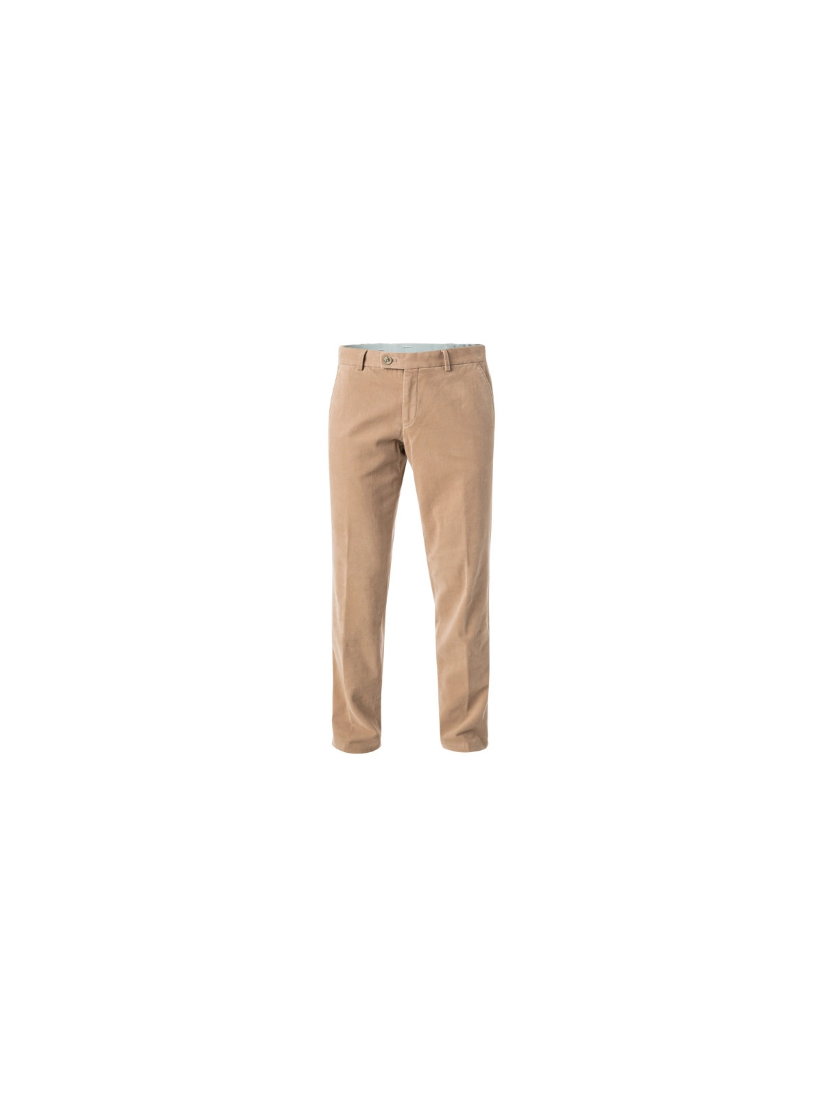 37_camel