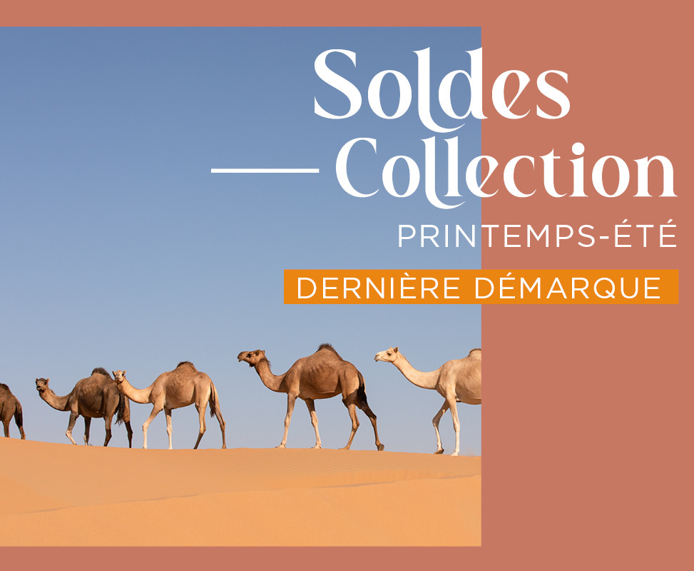 SOLDES PE2026 DD